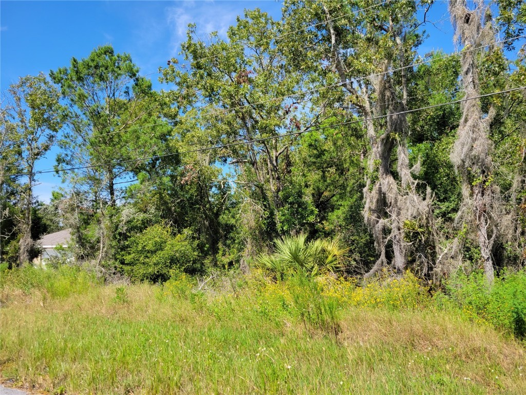 Olive Ct. Ocala FL 34472 G5046639 image1