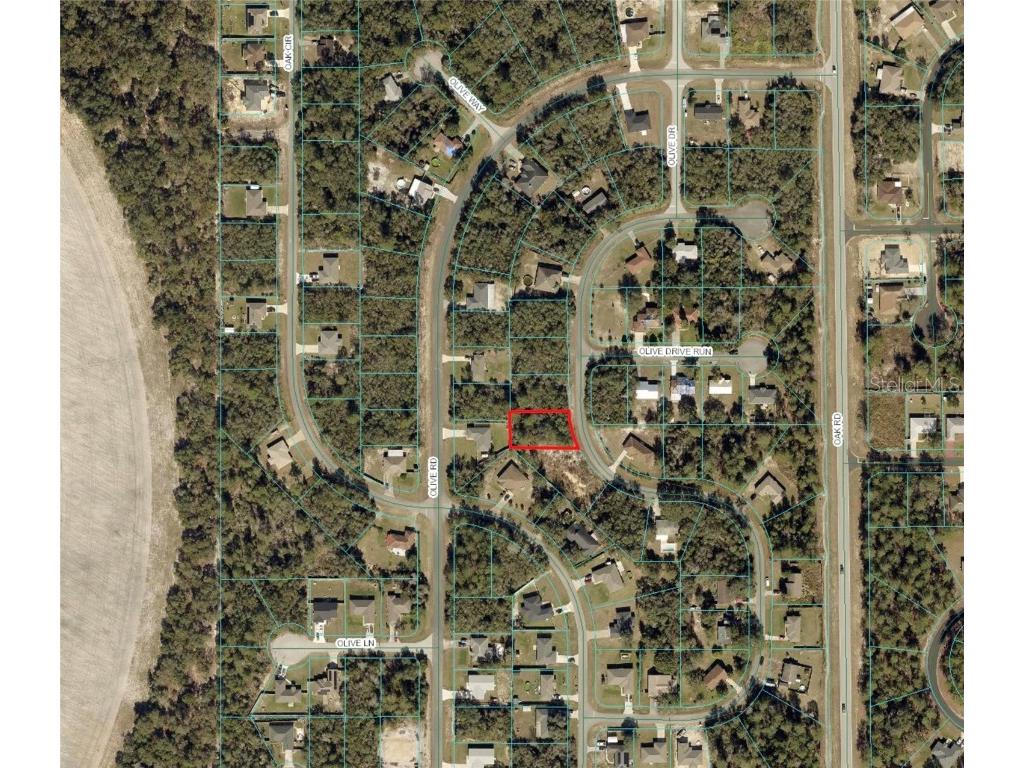 Olive Dr Ocala FL 34472 OM693136 image1