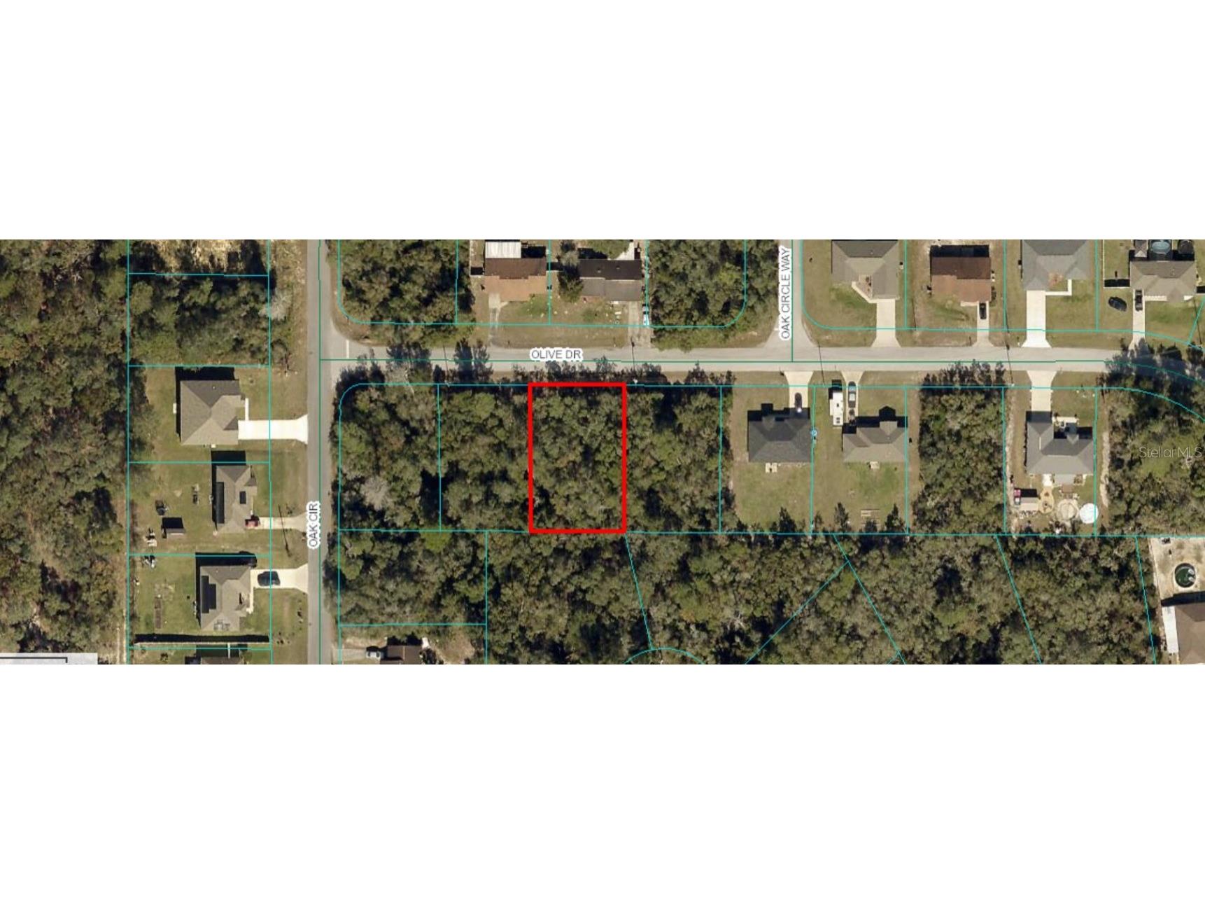 Olive Drive Ocala FL 34472 OM691847 image1