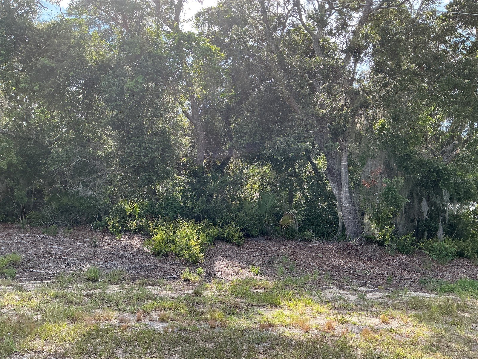 Olive Road Ocala FL 34472 OM727851 image1