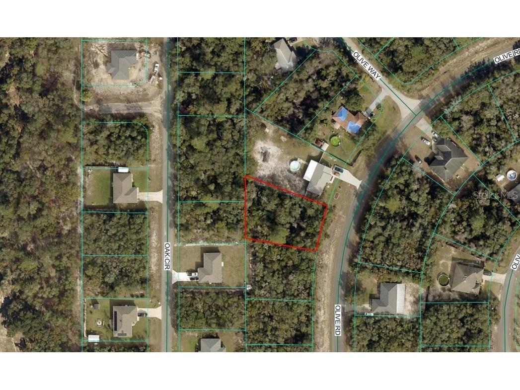 Olive Road Ocala FL 34472 OM727851 image2