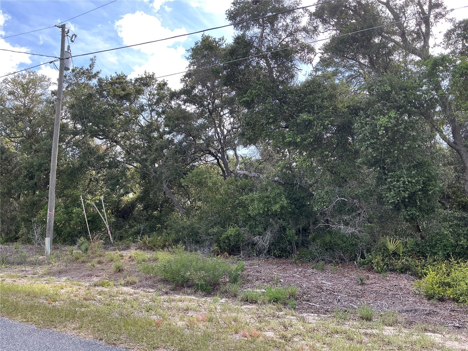 Olive Road Ocala FL 34472 OM727851 image4