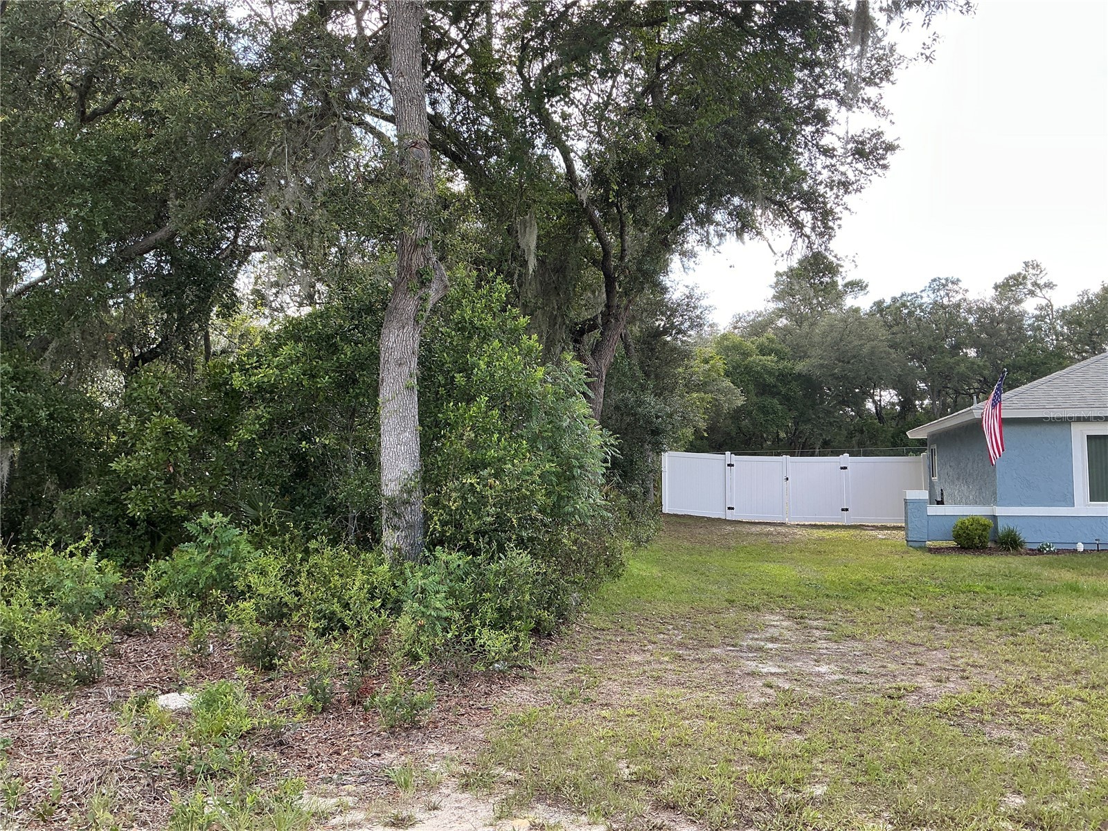 Olive Road Ocala FL 34472 OM727851 image5