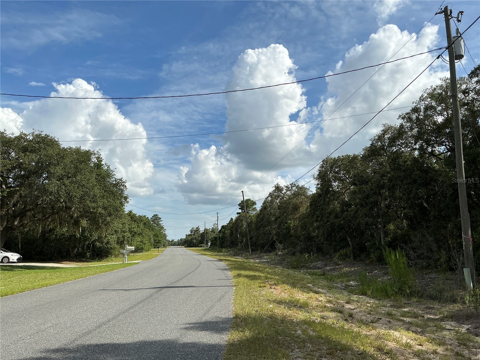 Olive Road Ocala FL 34472 OM727851 image6