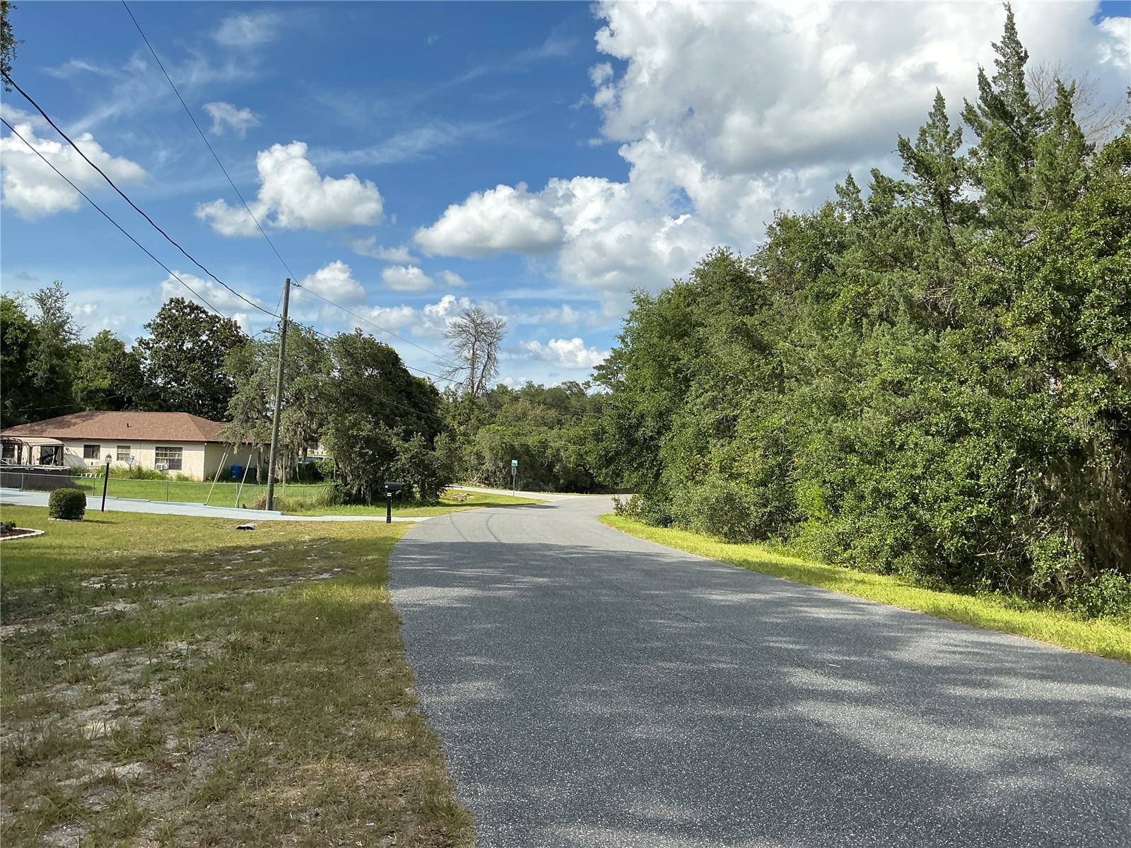Olive Road Ocala FL 34472 OM727851 image7