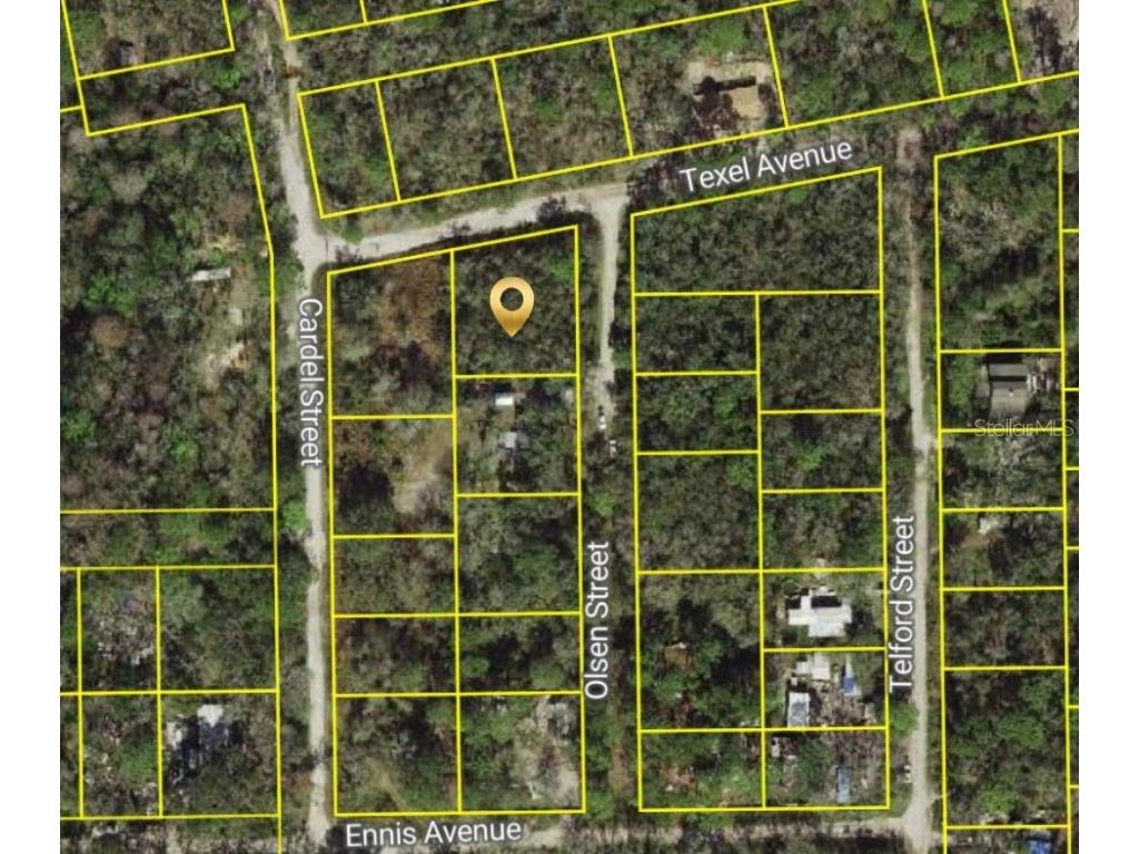 Olsen Street New Port Richey FL 34654 W7881345 image1