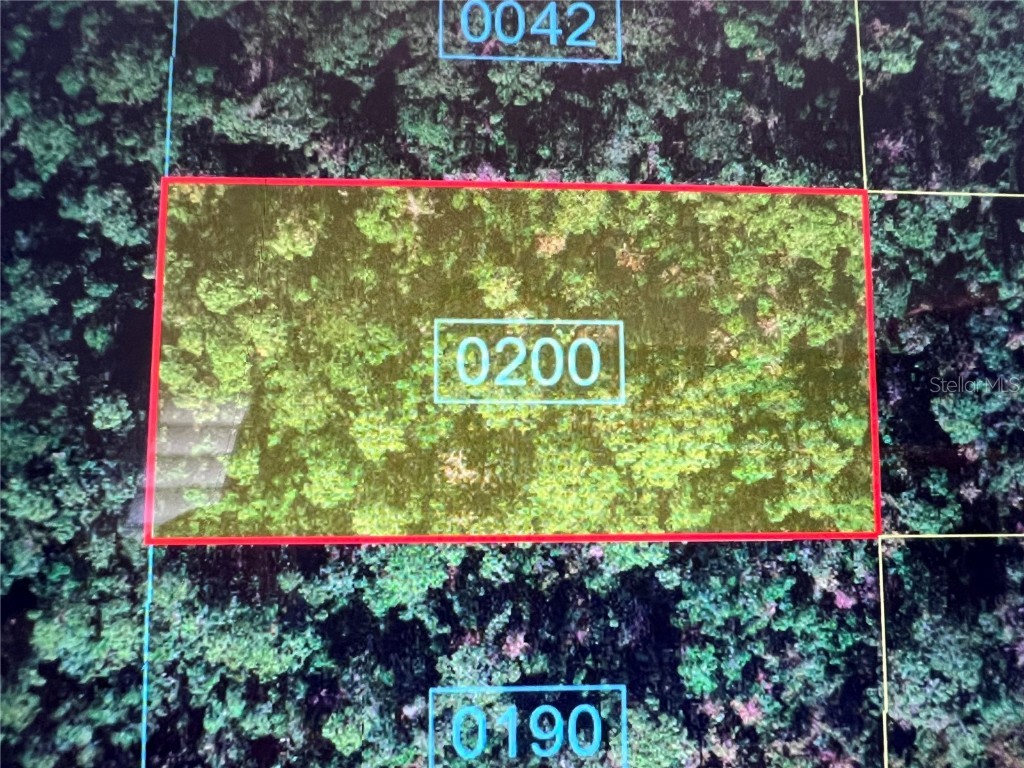 Oneida Loop Kissimmee FL 34747 O6199989 image1