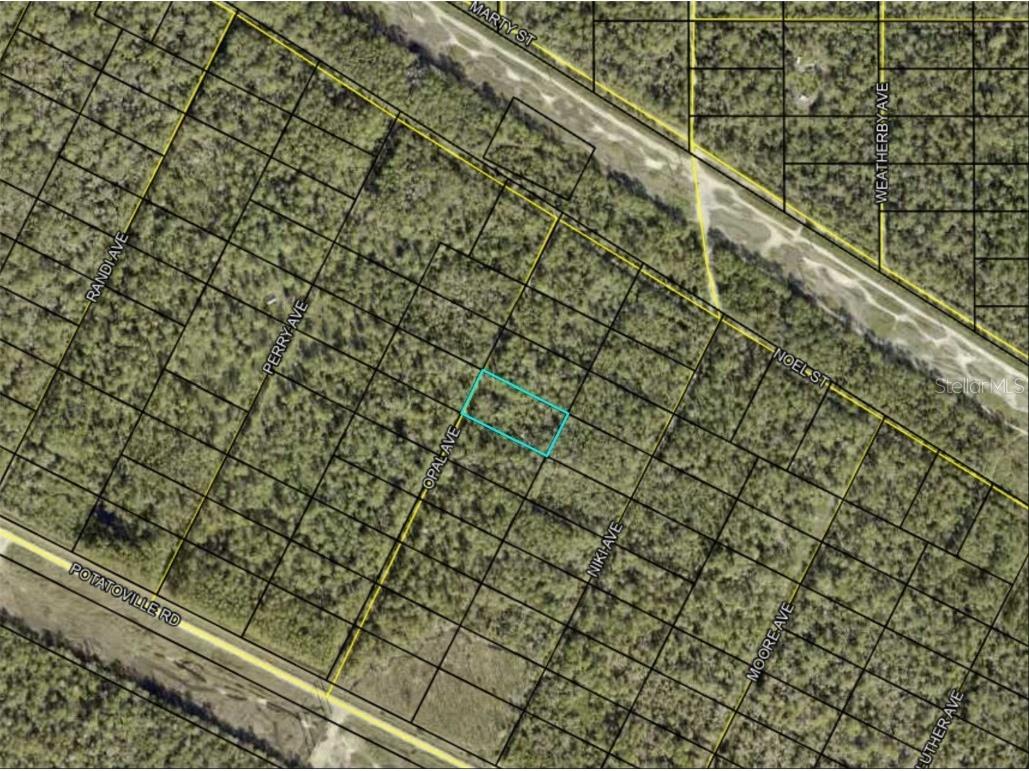 Opal Avenue Hastings FL 32145 FC298123 image1