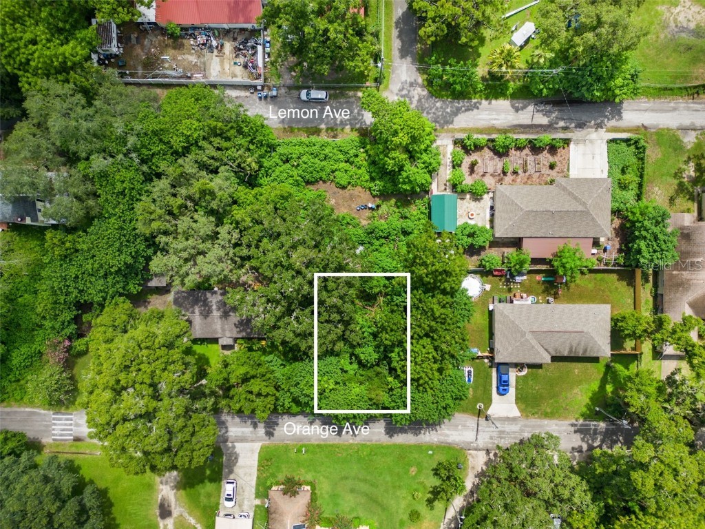 Orange Ave Seffner FL 33584 A4577656 image1