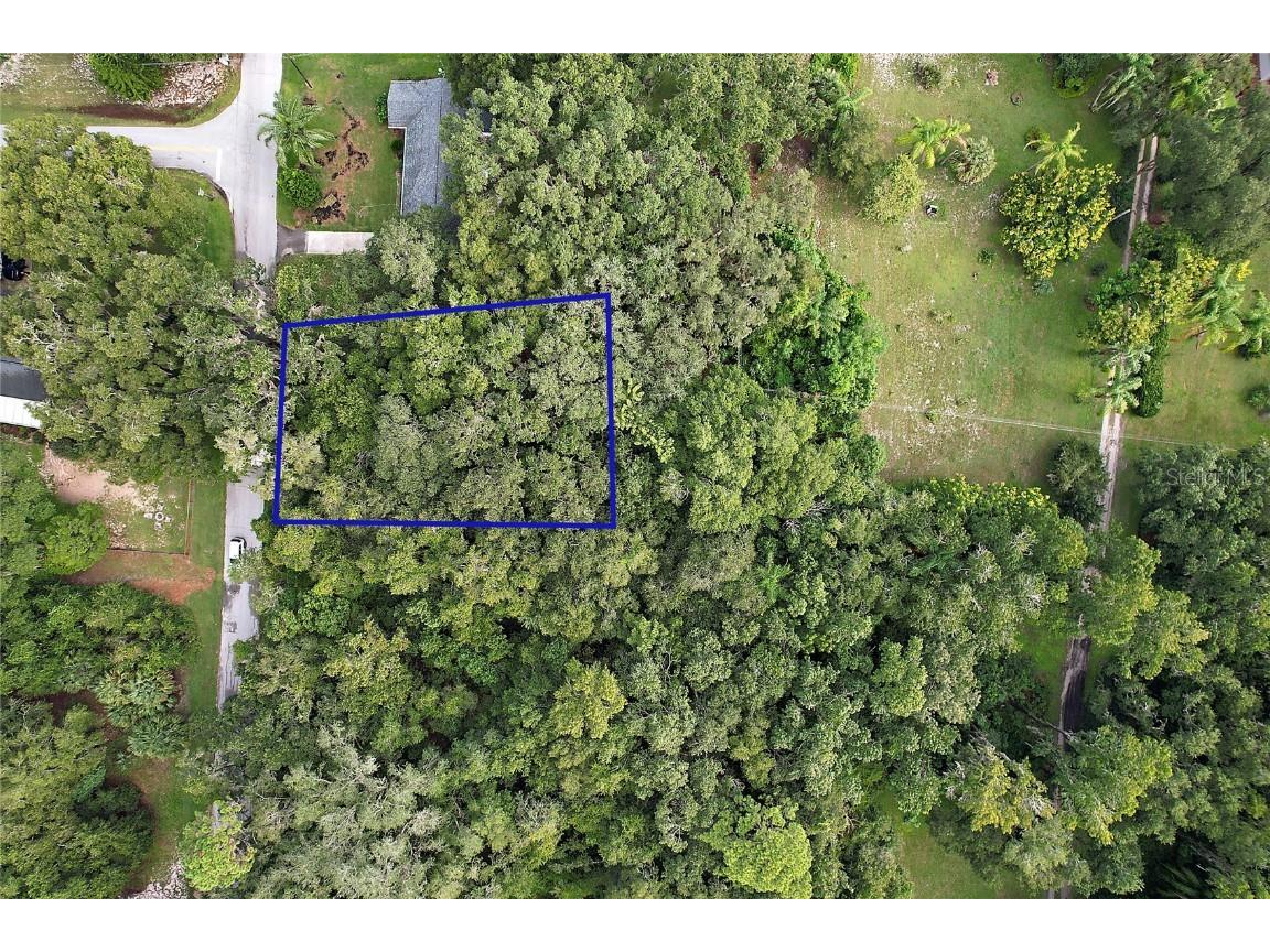 Orange Avenue Yalaha FL 34797 G5073880 image1