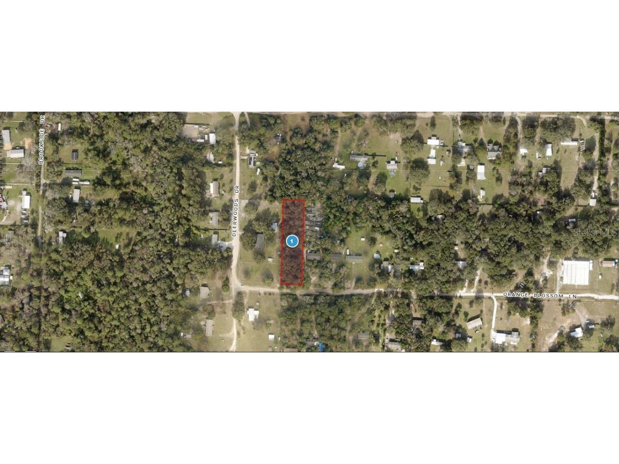 Orange Blossom Lane Eustis FL 32736 O6302720 image1