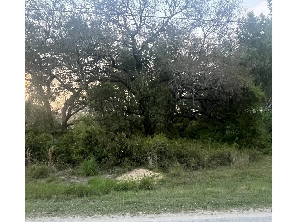 Orange Circle Lady Lake FL 32159 OM675347 image1