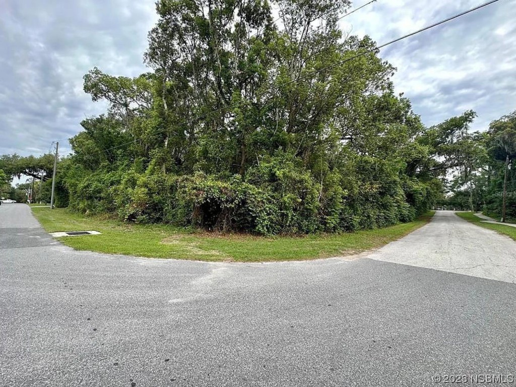  Orange City FL 32763 NS1077813 image1