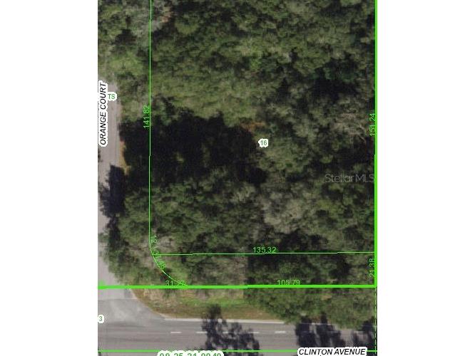 Orange Court Dade City FL 33525 T3439365 image1