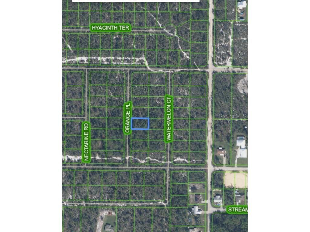 Orange Place #LOT 13 Sebring FL 33875 O6221386 image7