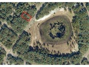 Orange Rd Ocklawaha FL 32179 OM714736 image1