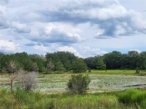 Orange Rd Ocklawaha FL 32179 OM714736 image2