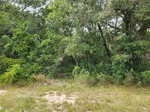 Orange Rd Ocklawaha FL 32179 OM714736 image3