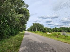 Orange Rd Ocklawaha FL 32179 OM714736 image4