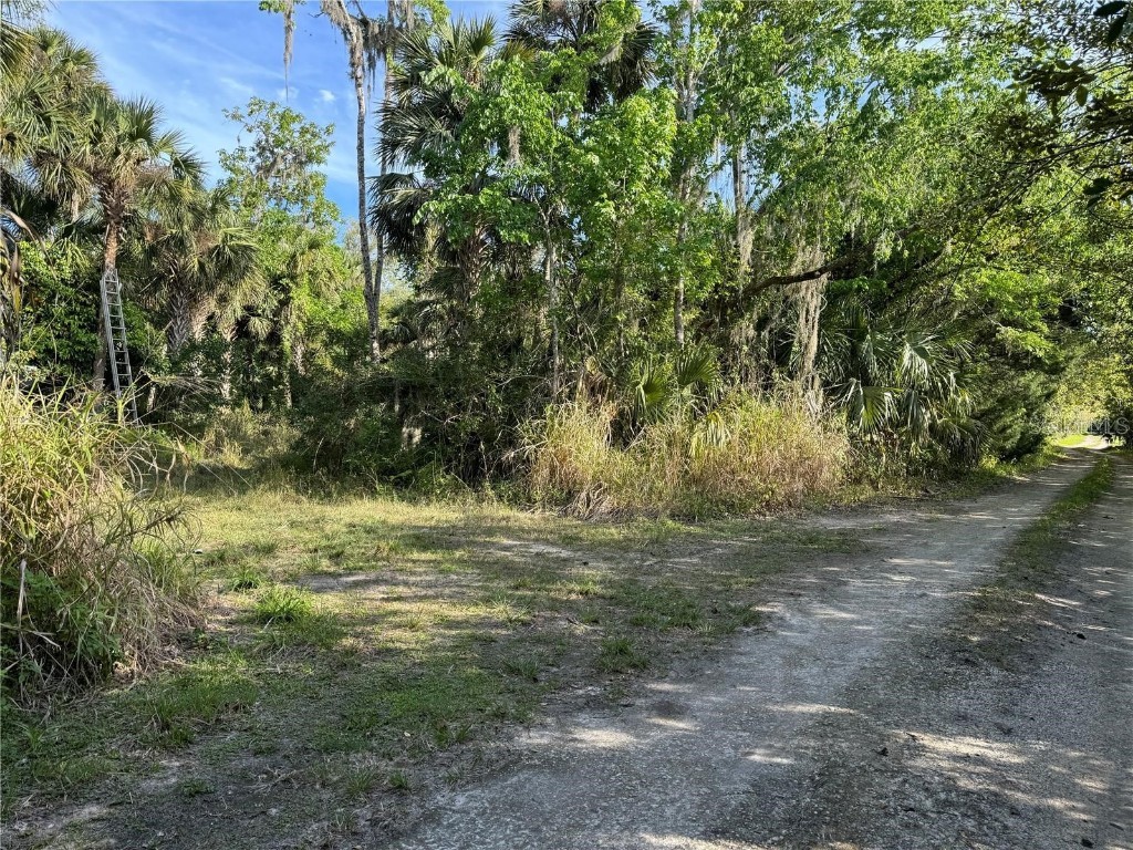 Orange St/Sec 1 Oviedo FL 32765 O6247217 image2