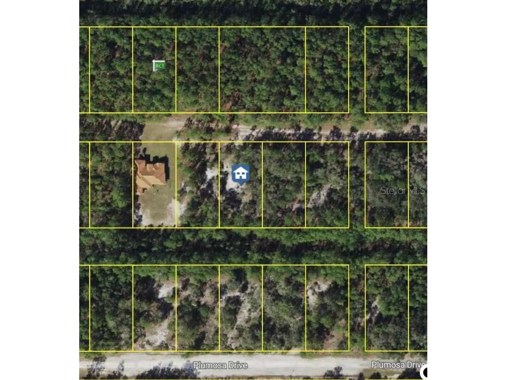 Orchid Drive Indian Lake Estates FL 33855 O6350101 image1