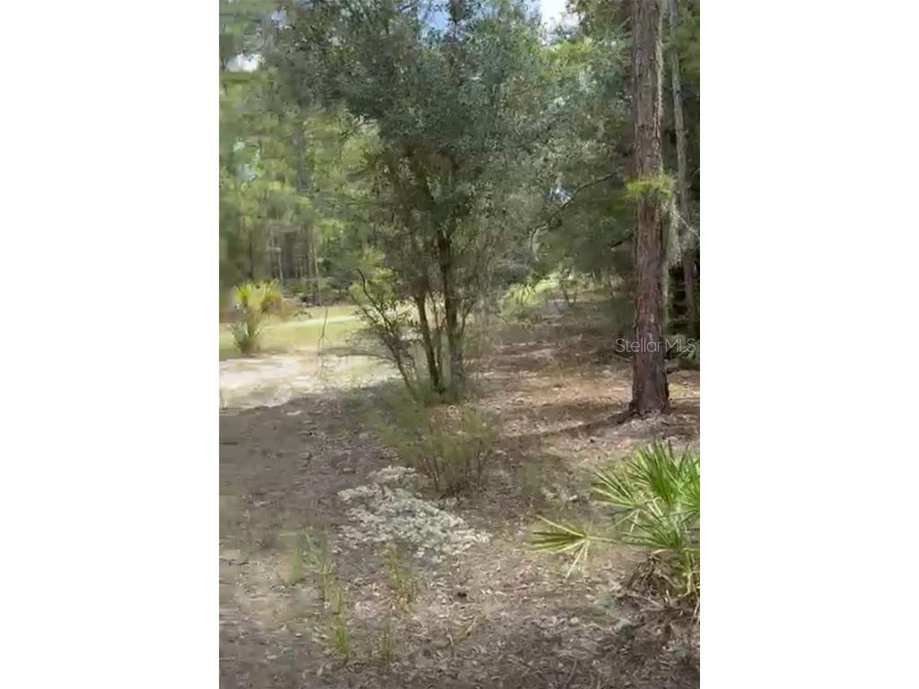 Orchid Drive Indian Lake Estates FL 33855 O6350101 image2