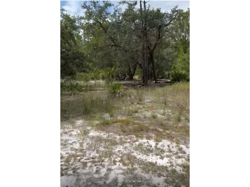 Orchid Drive Indian Lake Estates FL 33855 O6350101 image3