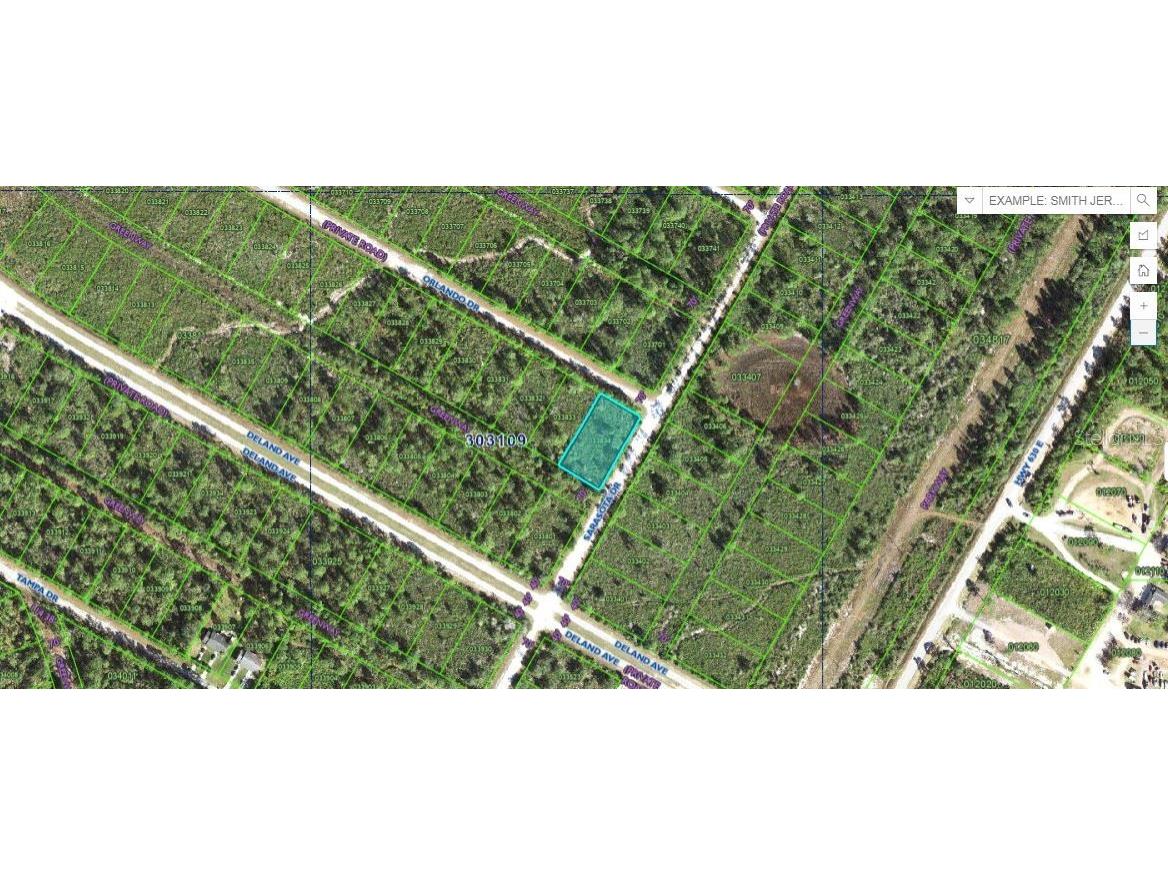 Orlando Drive Indian Lake Estates FL 33855 O6272537 image1