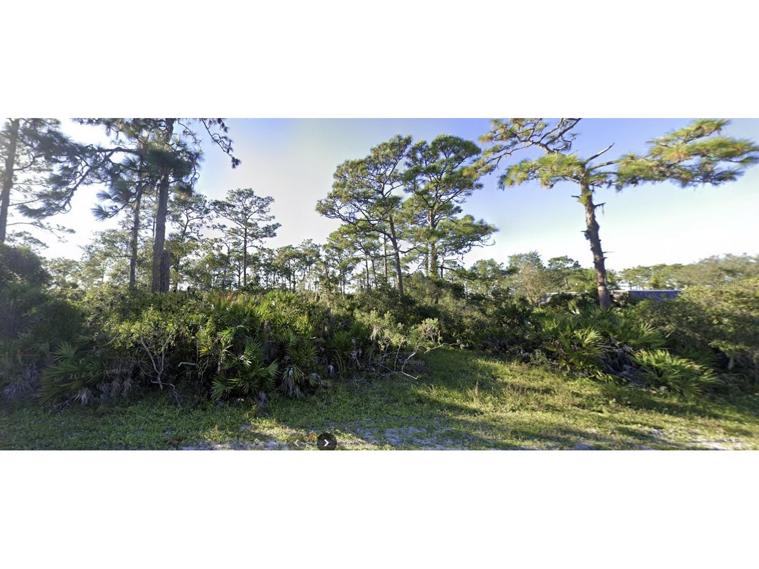 Orlando Drive Indian Lake Estates FL 33855 - LAKE WALK-IN-WATER TB8382485 image1