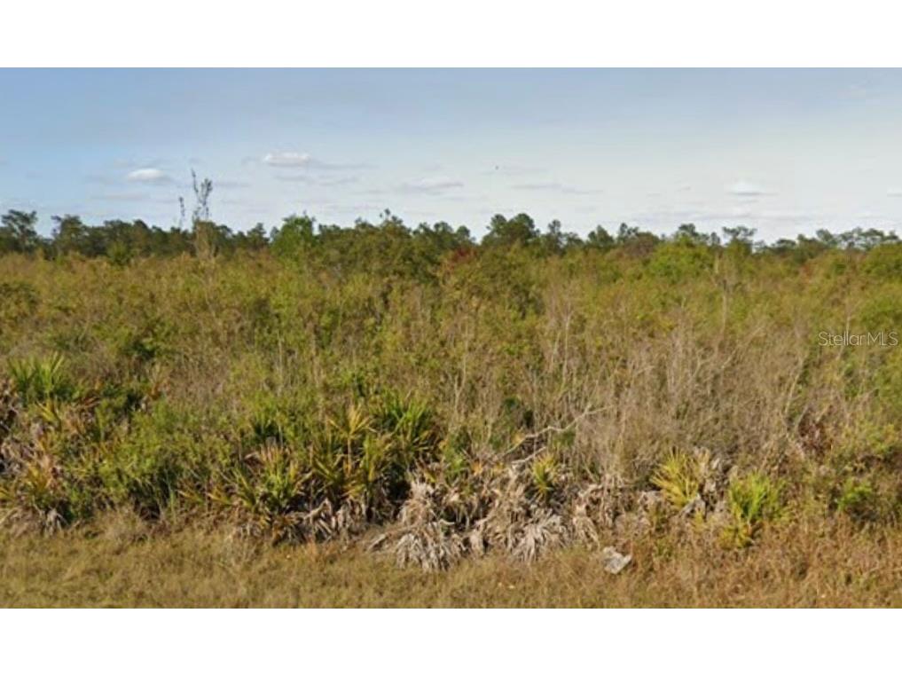 Orlando Drive Lake Wales FL 33898 L4940867 image1