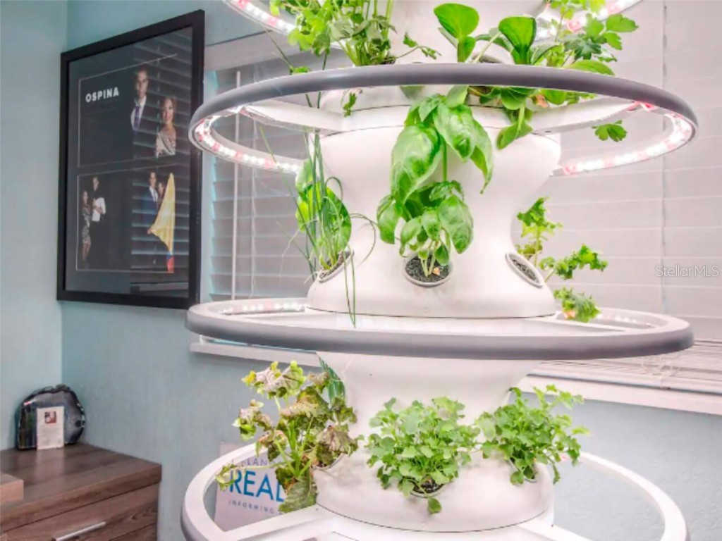  Orlando FL 32806 O6134303 image11