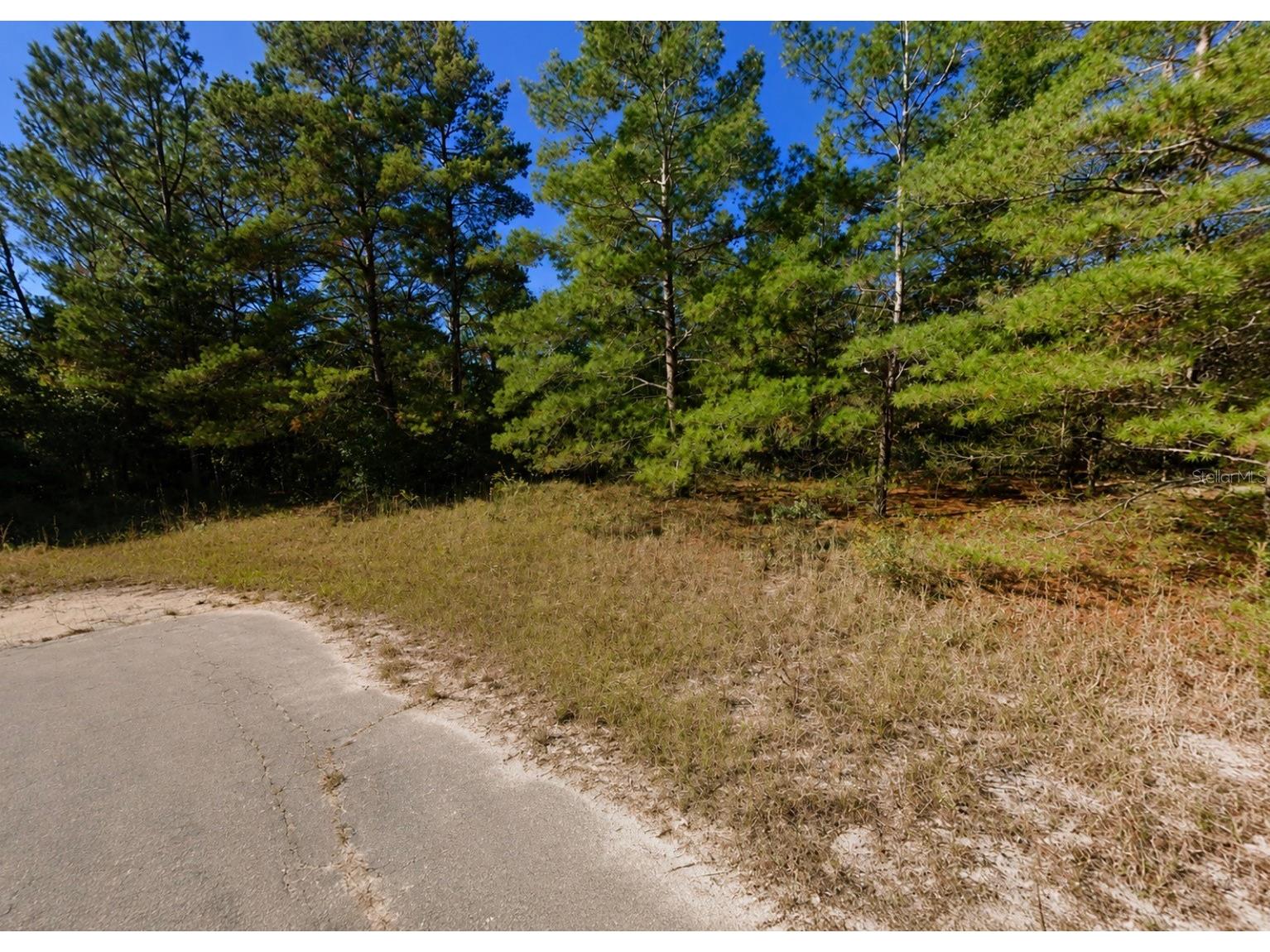 Ortega Court Chipley FL 32428 TB8516179 image2