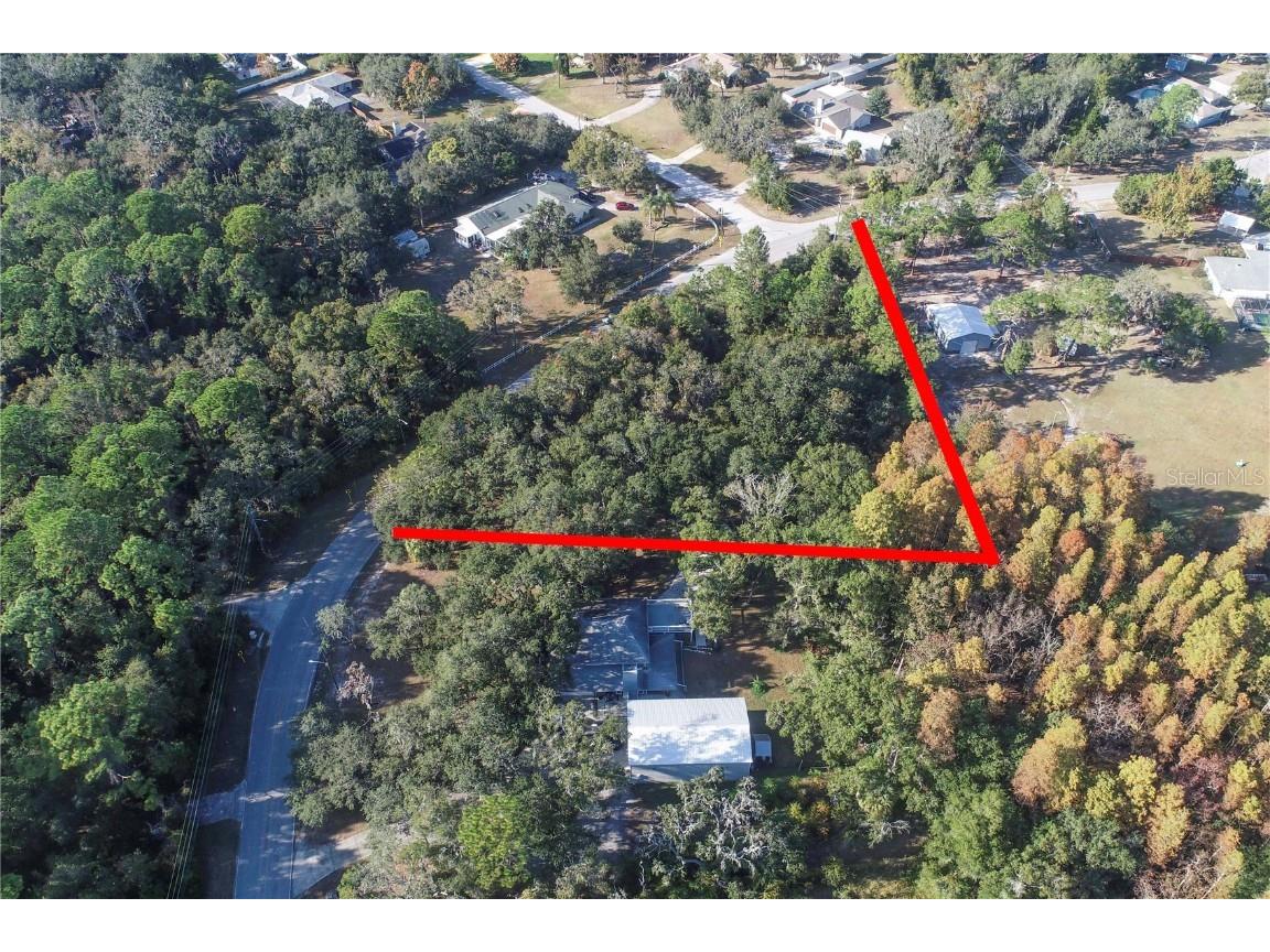 Osceola Dr. New Port Richey FL 34654 W7880846 image1