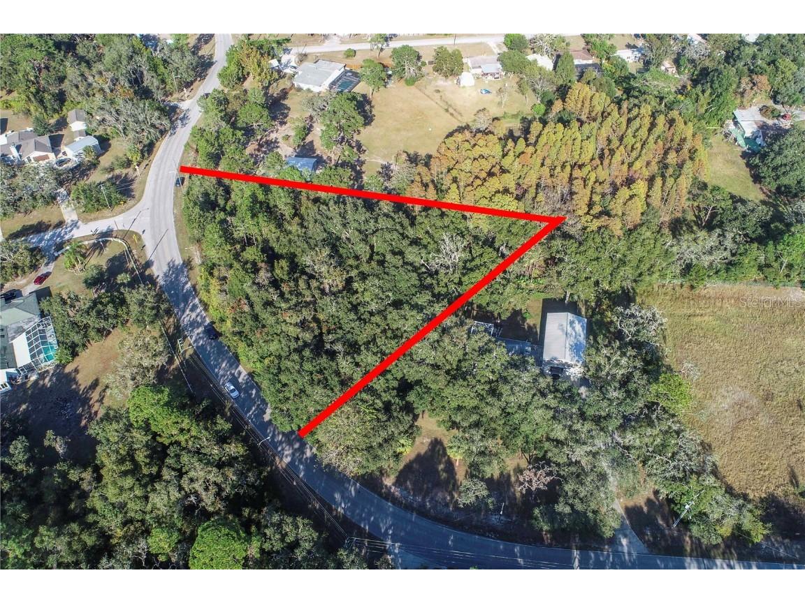 Osceola Dr. New Port Richey FL 34654 W7880846 image4