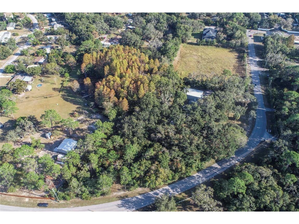 Osceola Dr. New Port Richey FL 34654 W7880846 image5