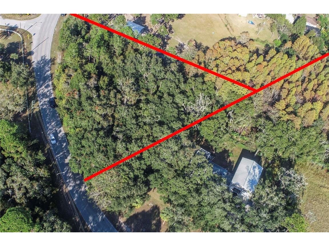 Osceola Dr. New Port Richey FL 34654 W7880846 image6