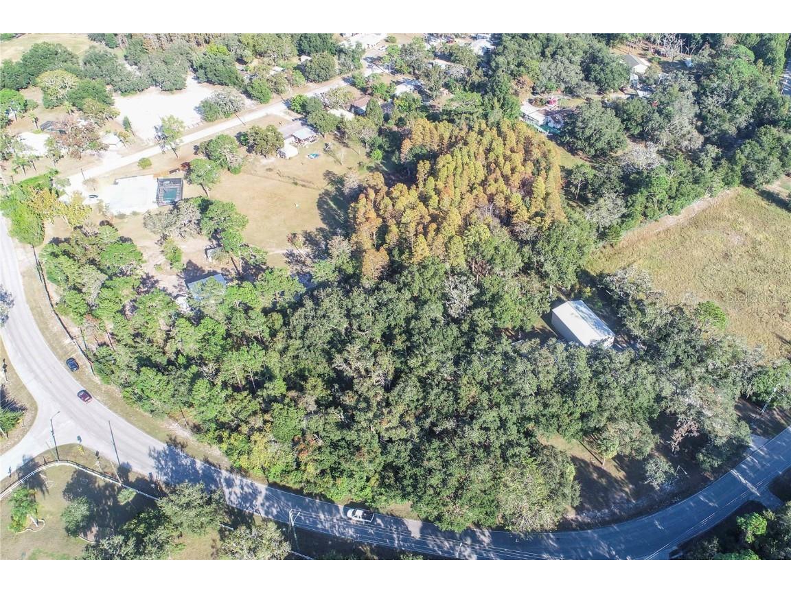 Osceola Dr. New Port Richey FL 34654 W7880846 image7