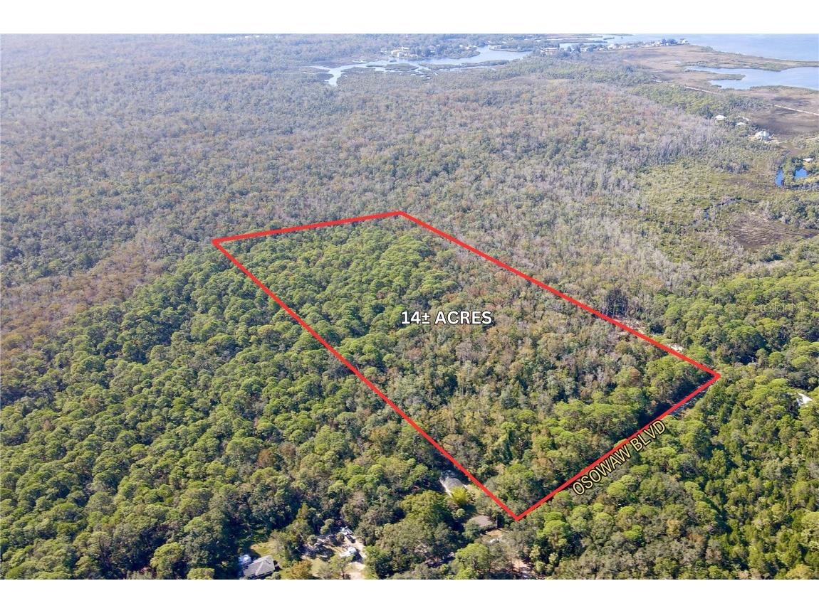 Osowaw Boulevard Spring Hill FL 34607 TB8319202 image1
