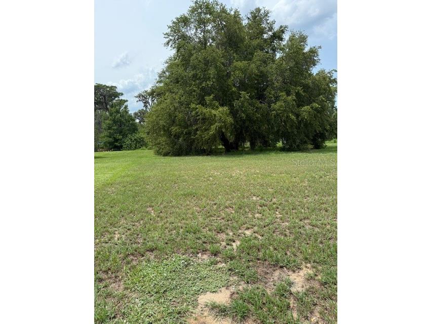 Osprey Pointe Boulevard Clermont FL 34711 - LAKE MINNEHAHA G5097482 image11