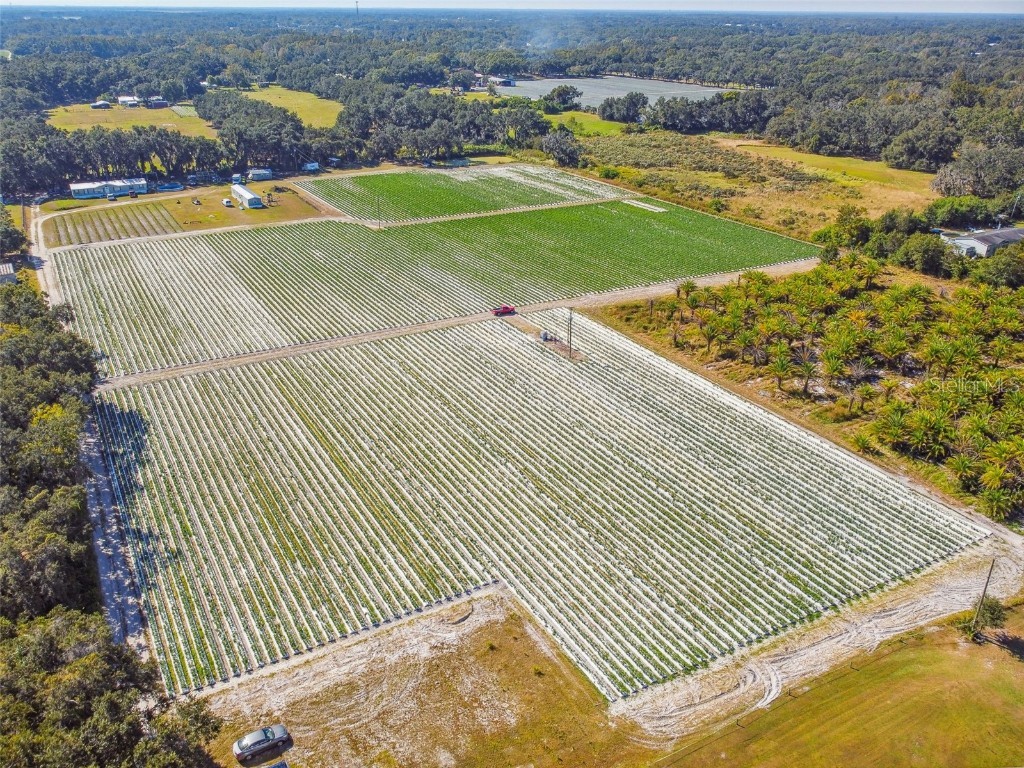 Osprey View Ln Plant City FL 33566 T3484445 image1