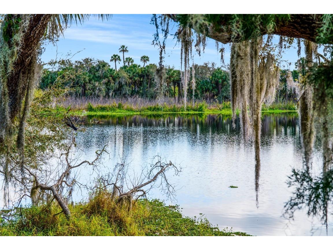  Osteen FL 32764 - LAKE HICKORY W/ST JOHNS ACCESS O6182226 image1