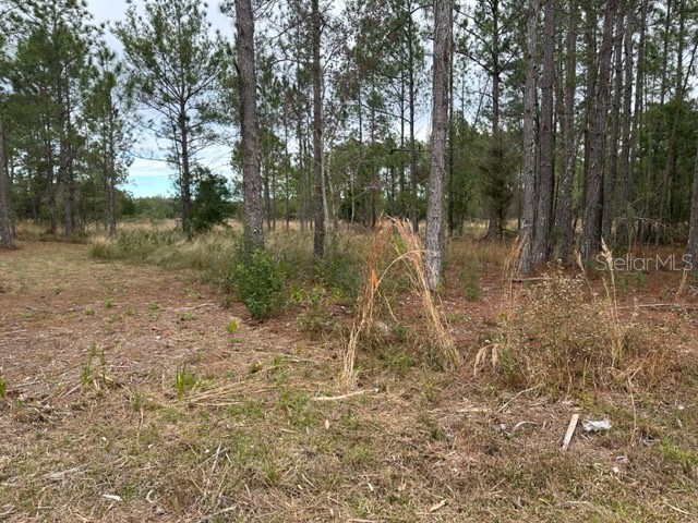 Otter Drive #LOT 0570 Webster FL 33597 - Long Lake G5063850 image1