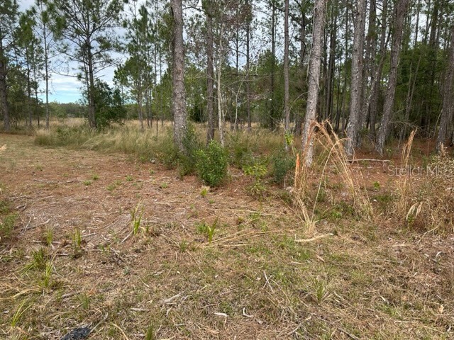 Otter Drive #LOT 0580 Webster FL 33597 G5063845 image1