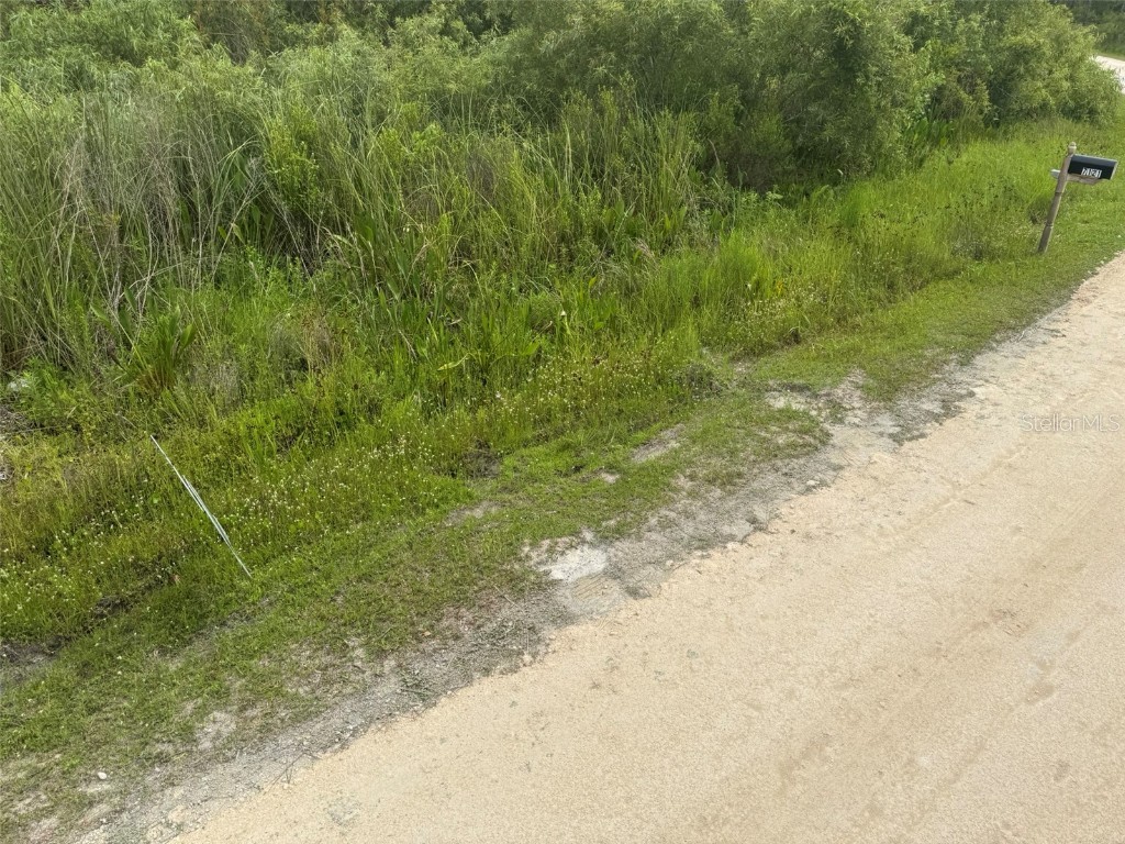 Otter Drive Webster FL 33597 TB8390671 image1