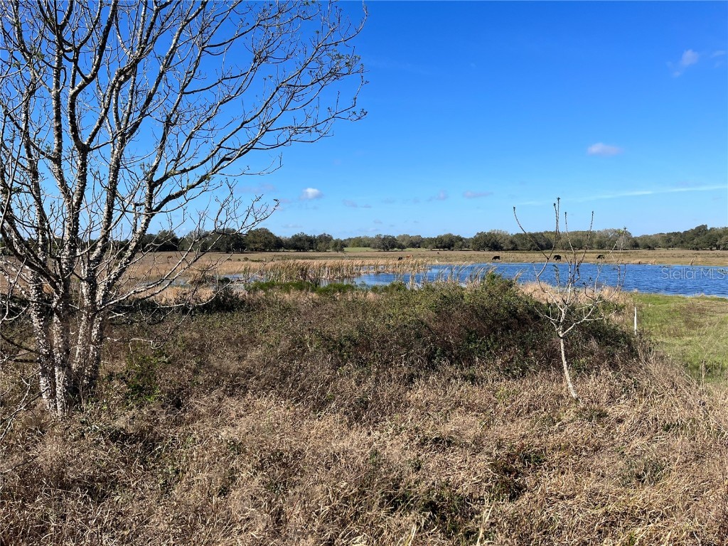 Otters Run Drive Groveland FL 34736 G5065844 image1