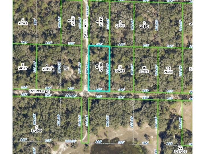 Overcup Drive Webster FL 33597 L4937628 image1