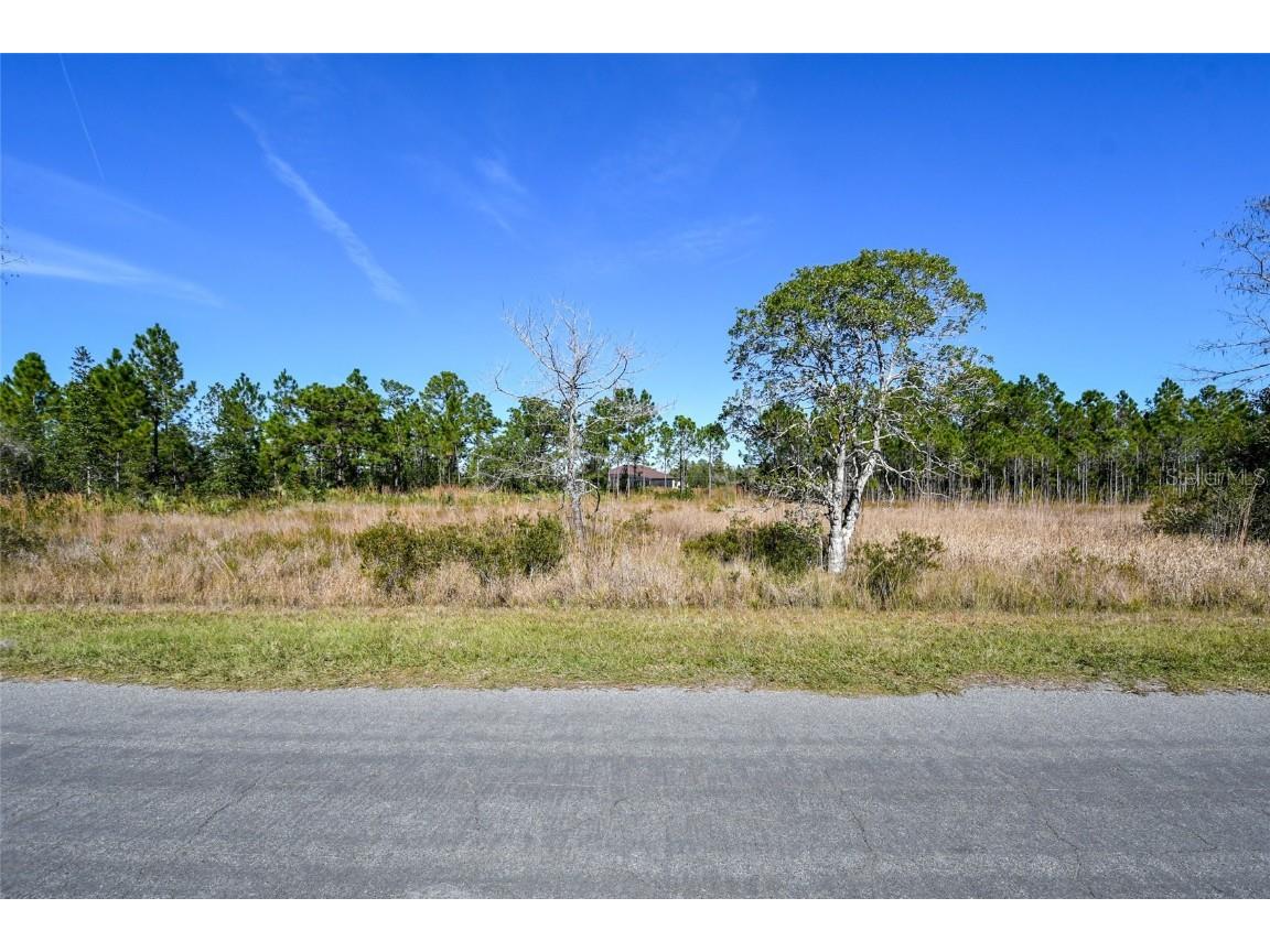 Overton Street Orlando FL 32833 O6166390 image1