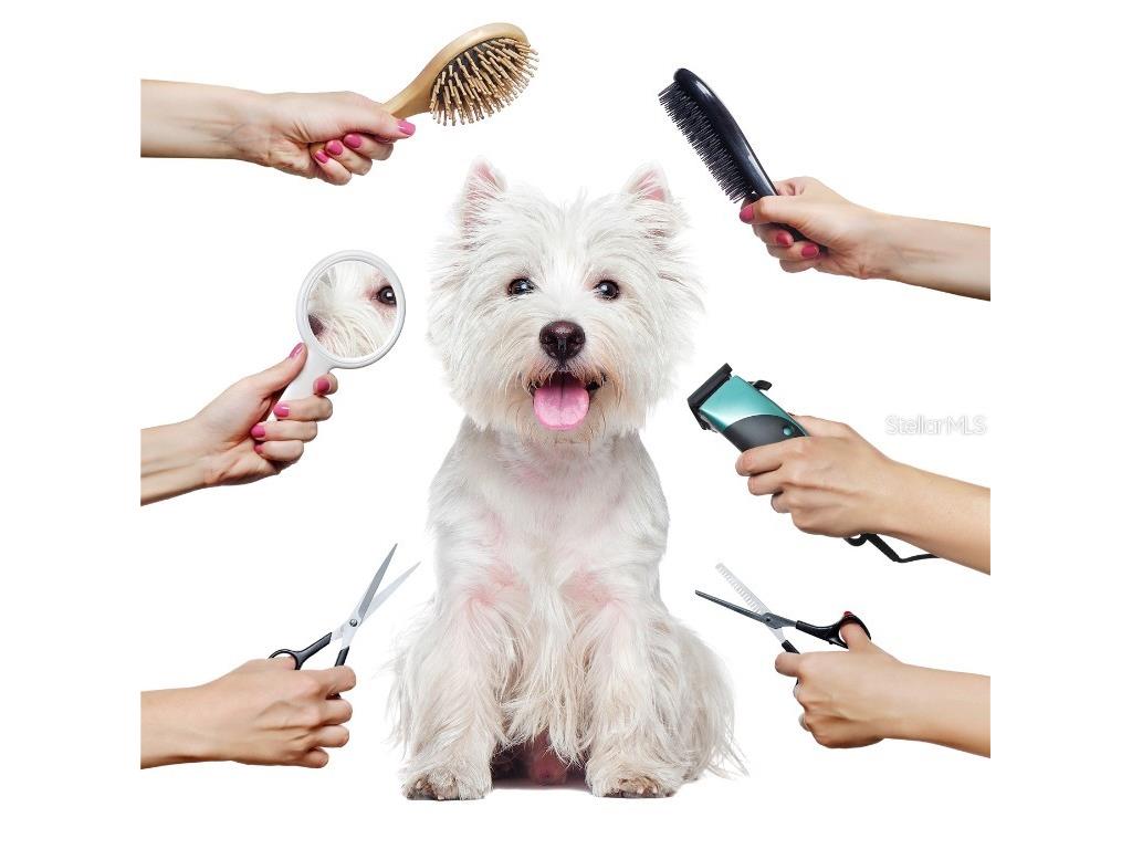  Oviedo FL 32766 O6159731 image1