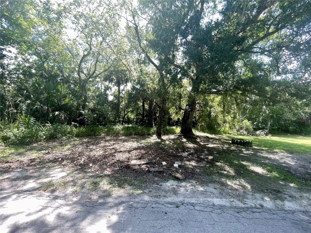 Owens Avenue Arcadia FL 34266 A4540401 image1