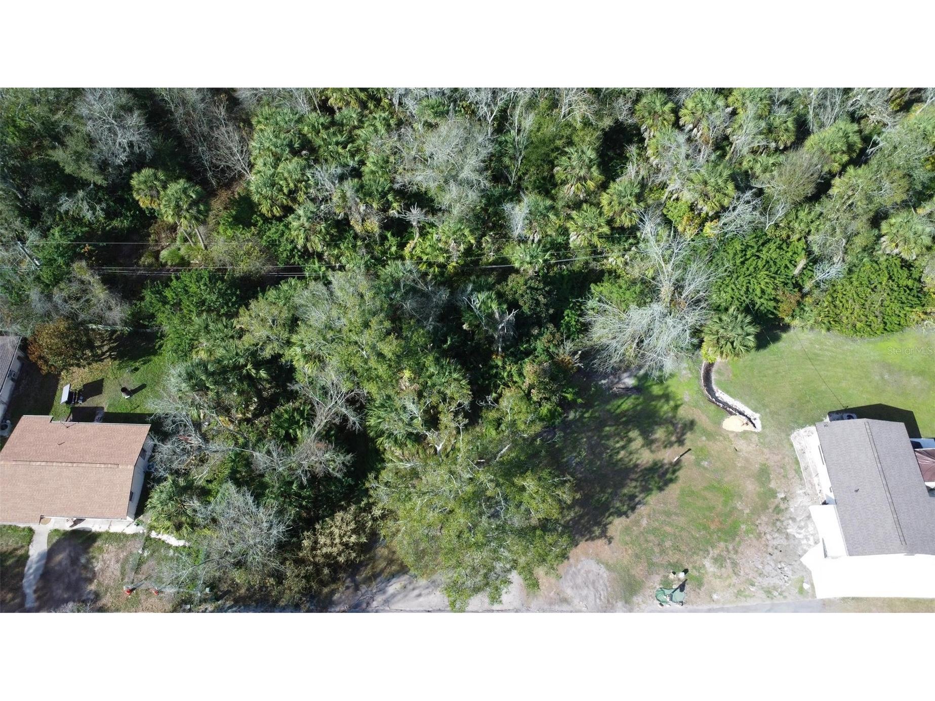 Owens Avenue Arcadia FL 34266 L4958272 image7